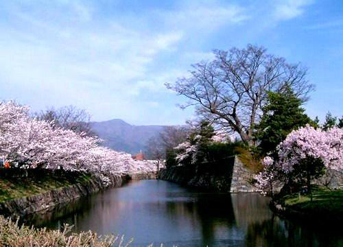 點擊圖片進(jìn)入下一頁 蜜月旅行